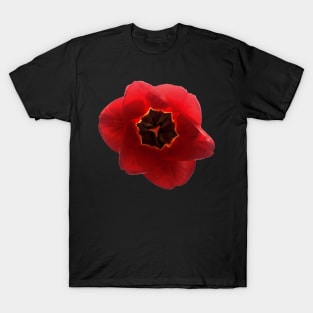 Tulip in Bloom T-Shirt